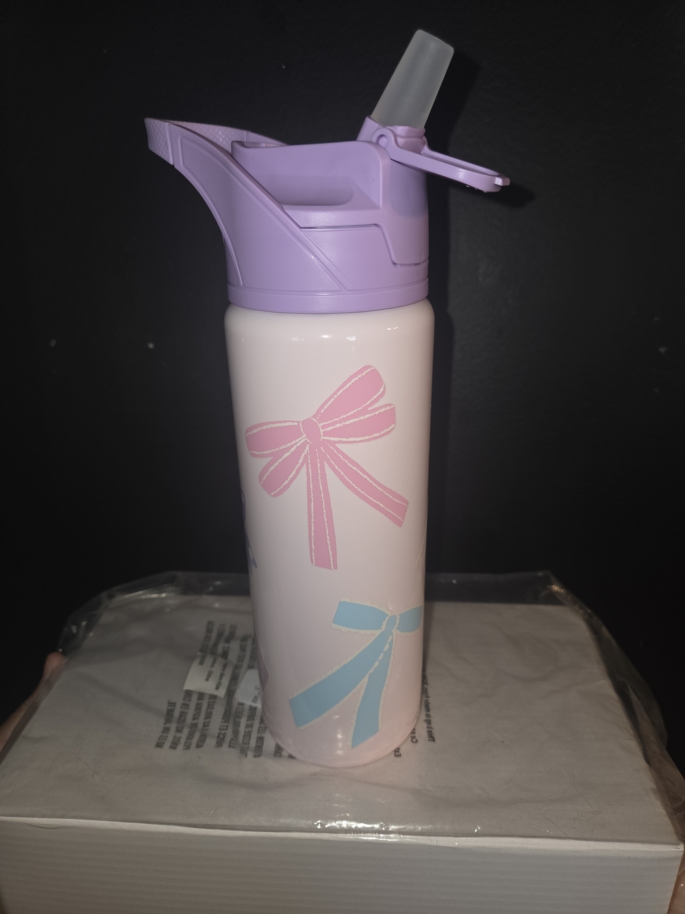 Pottery Barn Kids Bows Water Bottle 22 oz Insulated Tumbler Straw Stainless